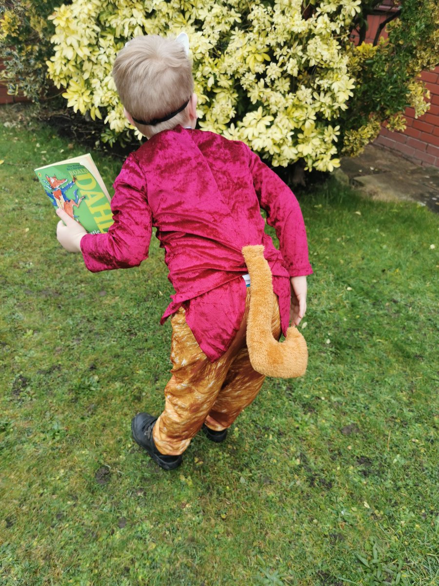 KristyBrooksITT's tweet photo. Today is World Book Day! Here is one of our Educate Group ITT representatives (meet Fantastic Mr Fox AKA Leo)! #worldbookday #developingliteracy 

@EducateGroup2 trainees - let us know what you and your school did for @WorldBookDayUK! https://t.co/9cxy31cDD7