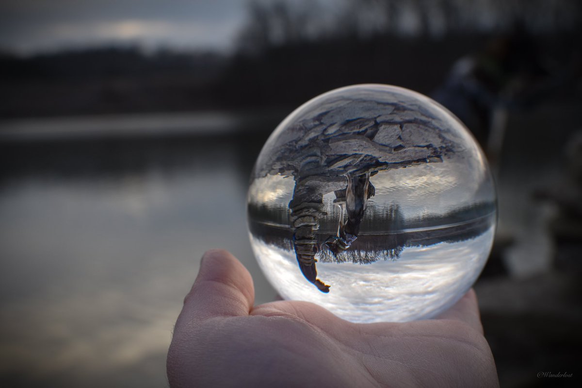 The Sibe + The Terv tweet media