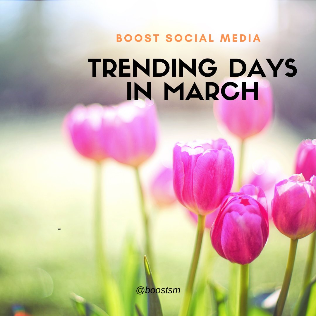 Boost Social Media tweet media