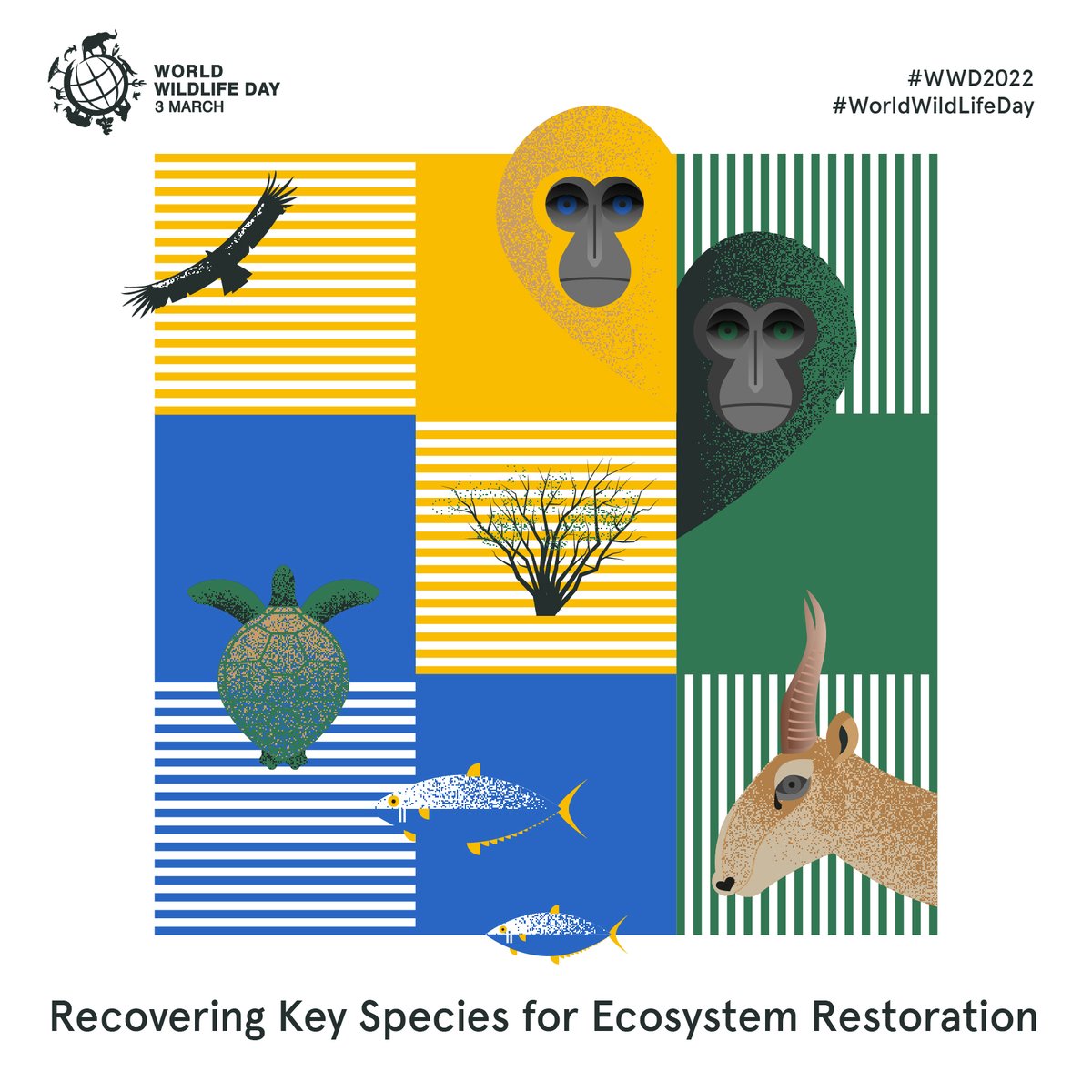 Happy World Wildlife Day! 

Help us to protect our planet and its ecosystems by joining us to learn more about how we can #RecoverKeySpecies for #WWD2022 

Visit wildlifeday.org for more information