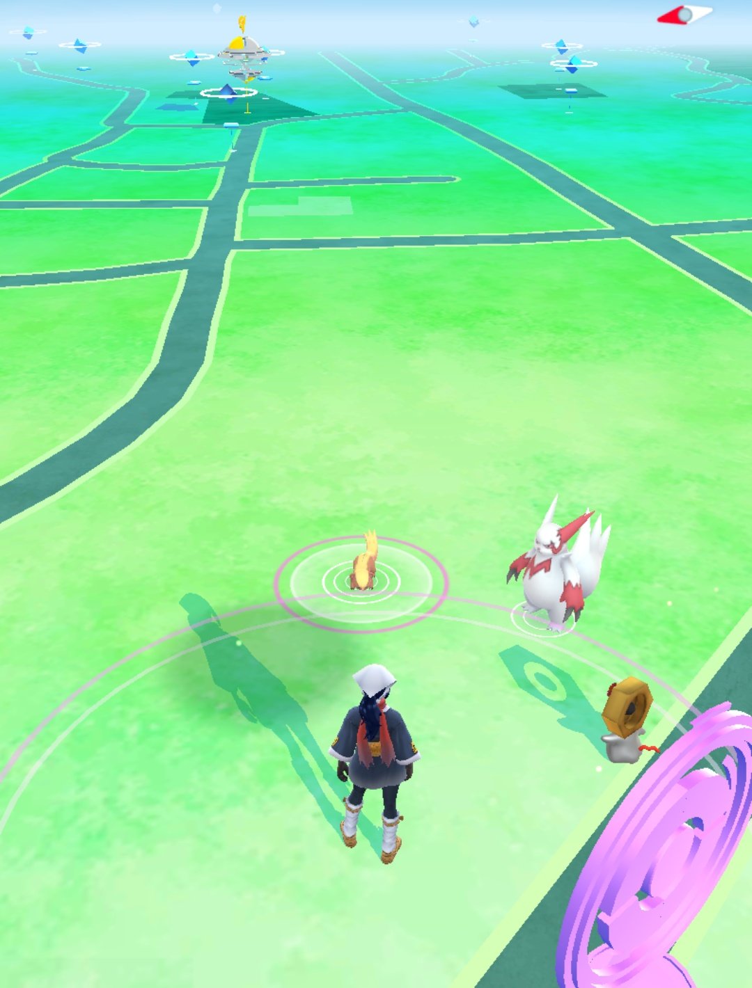 オニユリ 今日の ポケモンgo ザングースとヤングース T Co Cq5yxch5nb Twitter