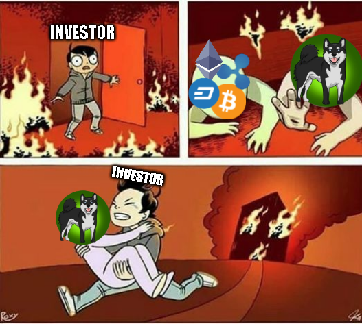 wecub_bear's tweet photo. @Shibokami The best choice an investor had ever made

#Shibokami https://t.co/HEflSVfsVC
