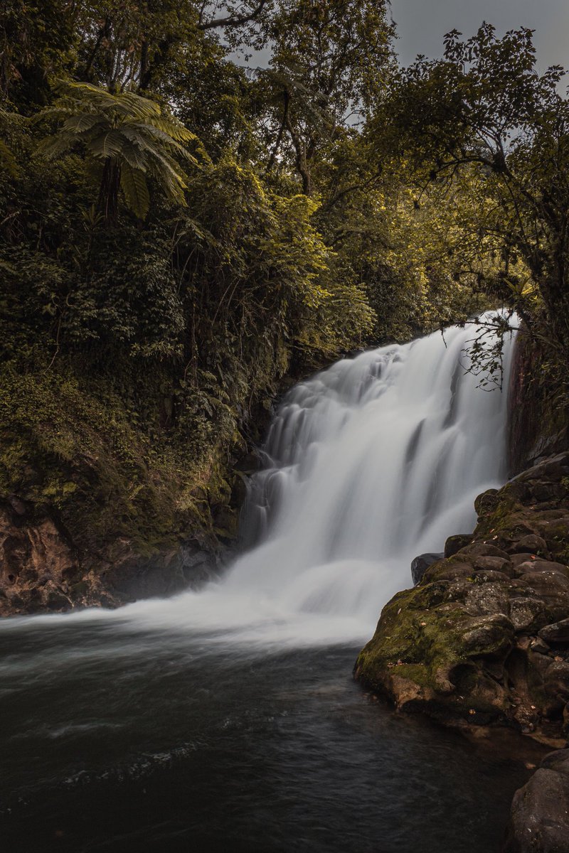 Michellpz25's tweet photo. 🏞
.
#nature #waterfall #fluid #landscape #dayoff #colors #photography #canon #1855mm #view #trip #photoshoot #hdr #México #Veracruz #landscape_lovers #water https://t.co/aG5WIXujRa