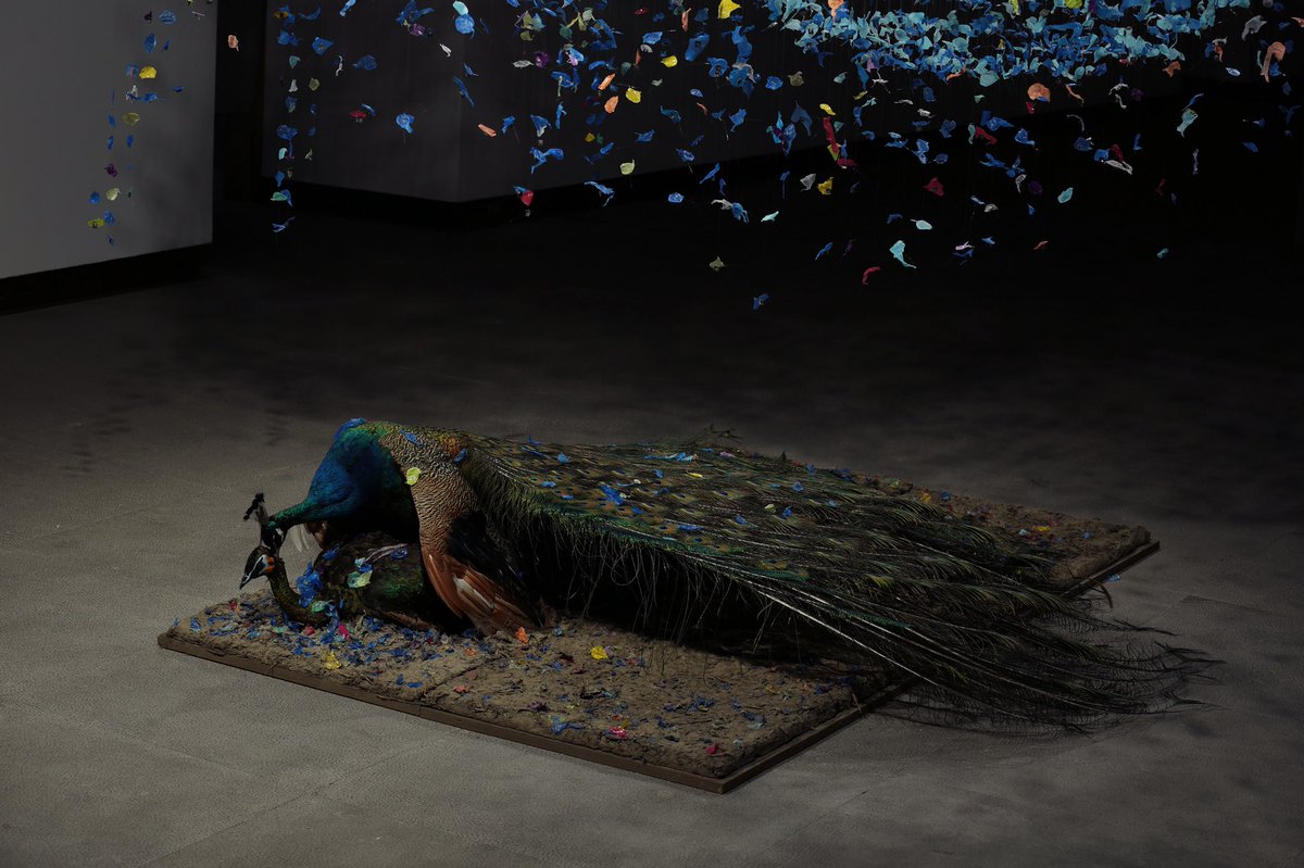 The vanity of supposing significance
(2017)