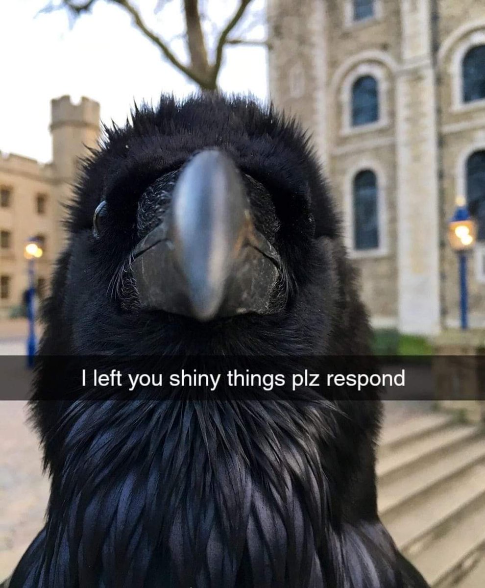 ⌜ 𝐍𝐀𝐓𝐀𝐒𝐇𝐀 ⌟ (@specious__) on Twitter photo 