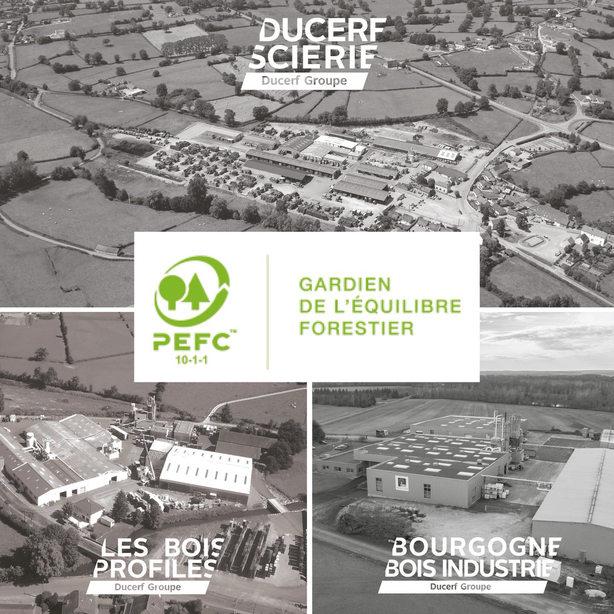 DucerfSA's tweet photo. [CERTIFICATION ✅] Saviez-vous que le Groupe Ducerf a été la première scierie certifiée @PEFCFrance  FRANCE en 2002?
Tous nos sites de production possèdent aujourd'hui cette #certification ! #scierie #bois #boisdefrance https://t.co/LPOxpMBpCb