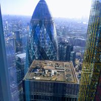 SkyGardenUK's tweet photo. #UrbanGreening at its best! A living wall, greenroof or tree-lined path exponentially increases a site’s positive environmental impact.
#climatechange #eco #biodiversity #greenroofs #brownroofs #greenitall #greenspaces #sedum #Podiums #amenityspaces https://t.co/TlMHw7V6Kq