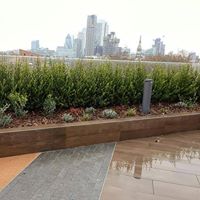 SkyGardenUK's tweet photo. #UrbanGreening at its best! A living wall, greenroof or tree-lined path exponentially increases a site’s positive environmental impact.
#climatechange #eco #biodiversity #greenroofs #brownroofs #greenitall #greenspaces #sedum #Podiums #amenityspaces https://t.co/TlMHw7V6Kq