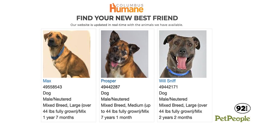 Update: our last three <a href="/PetPeopleStores/">PetPeople by Hollywood Feed</a> Adoptable Pets are still waiting on some love at <a href="/columbushumane/">Columbus Humane</a> 🥺

We'll meet another one tomorrow morning at 9:30, but don't forget about Max, Prosper, and Will Sniff! More info: columbushumane.org/dogs