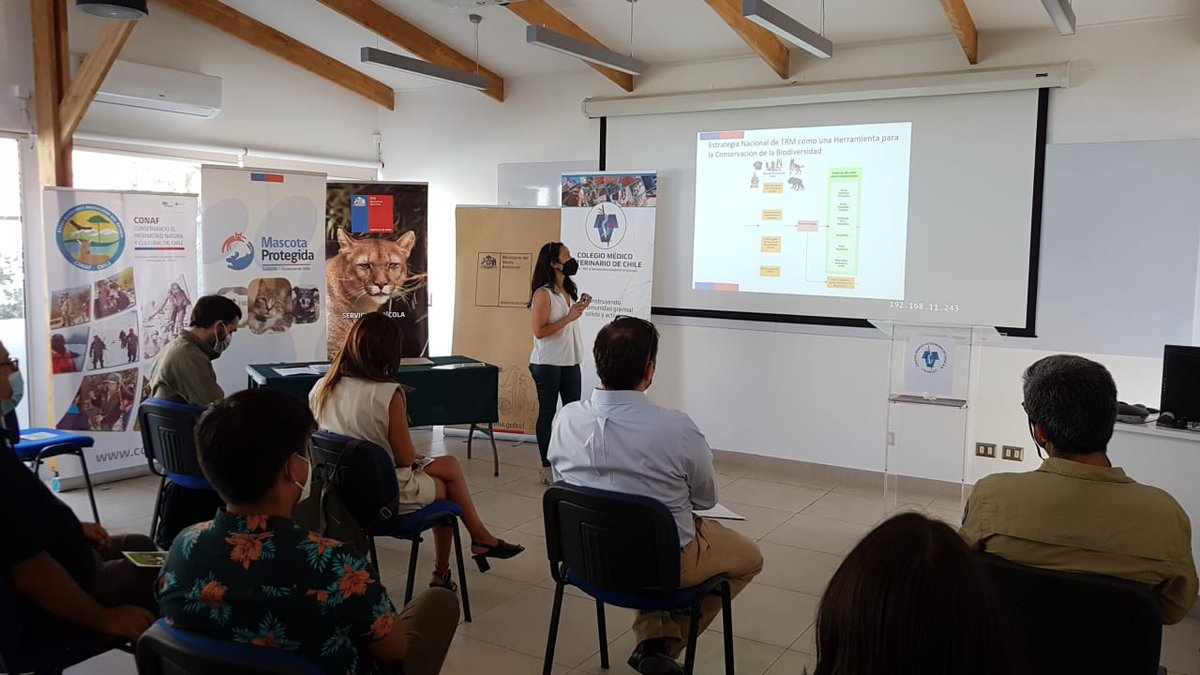 CONAF - Corporación Nacional Forestal tweet media