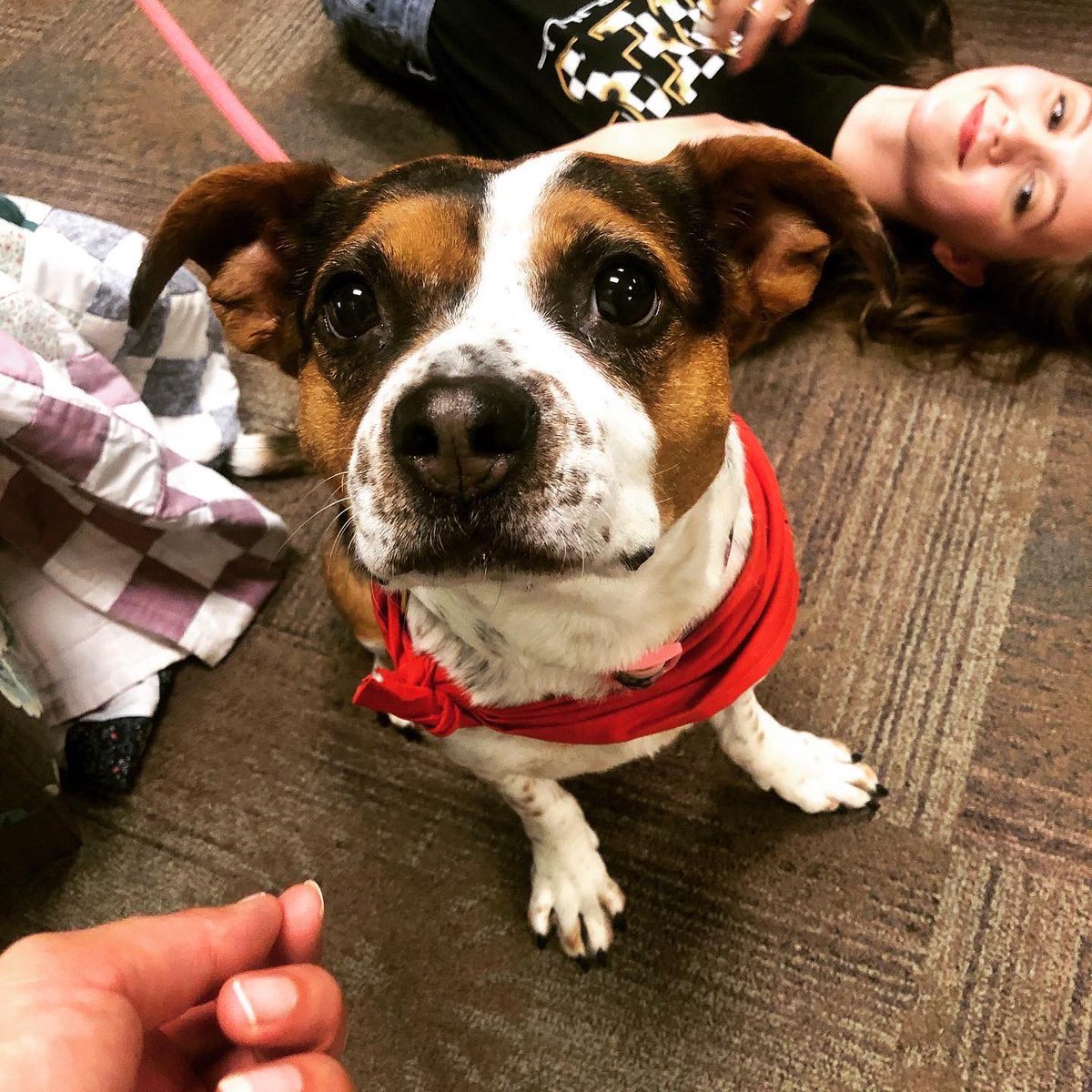 Center for Women and Gender Equity @ UTC tweet media