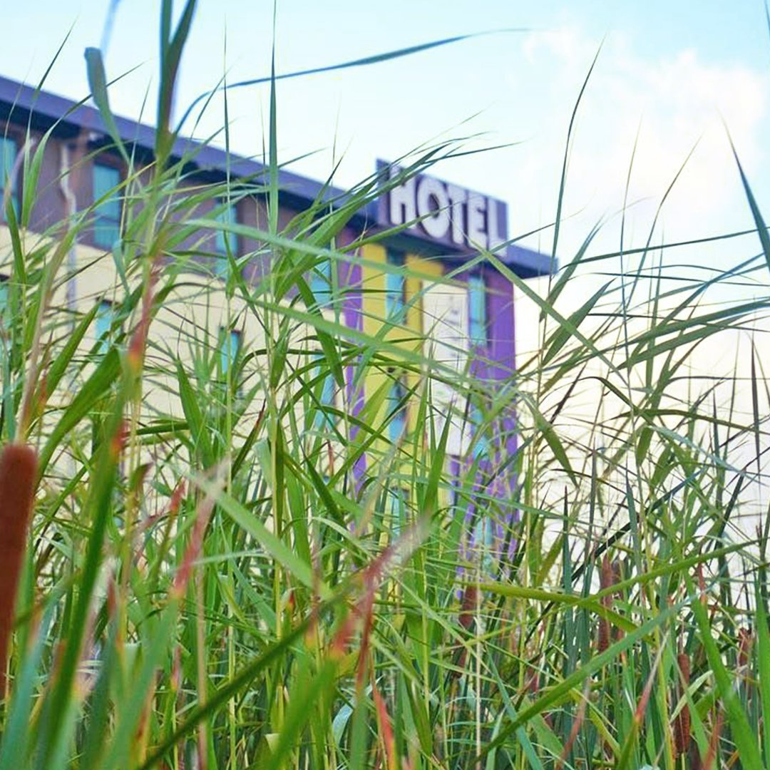 Happy World Wildlife Day JTG fam! 🐝 🐢 

We choose our clients with care and we're beyond grateful to be working with brands like <a href="/DarlingBrew/">Darling Brew</a>, <a href="/BlackMambaFood/">Black Mamba Chilli</a> , and <a href="/HotelVerde/">Hotel Verde</a> that go out of their way to tread lightly on this earth.

Visit worldwildlife.org to donate 💚