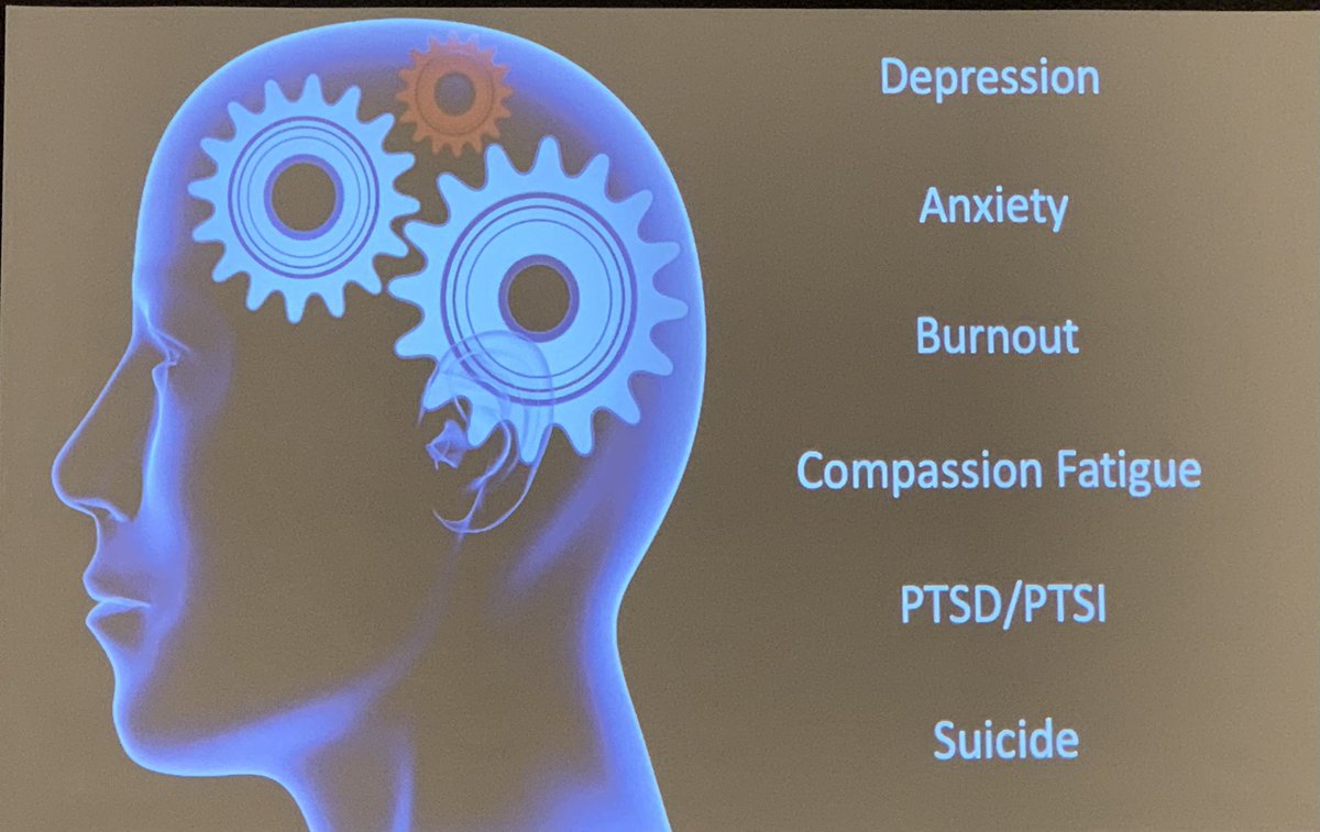 jzalkin's tweet photo. Listening to Mike Taigman @MTaigman at NC EMS Mangers Association meeting in Wilmington, NC excellent presentation on “The Emerging Science of Resilience, Stress, and Disease Prevention for the EMS Provider”  #NCEMS #FriendsAtThePodium https://t.co/AcAh3B5Hkc