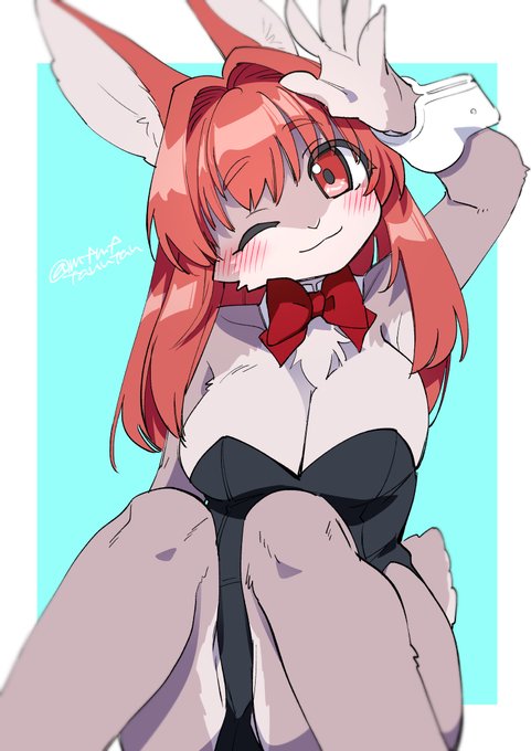 うさぎの日再放送 