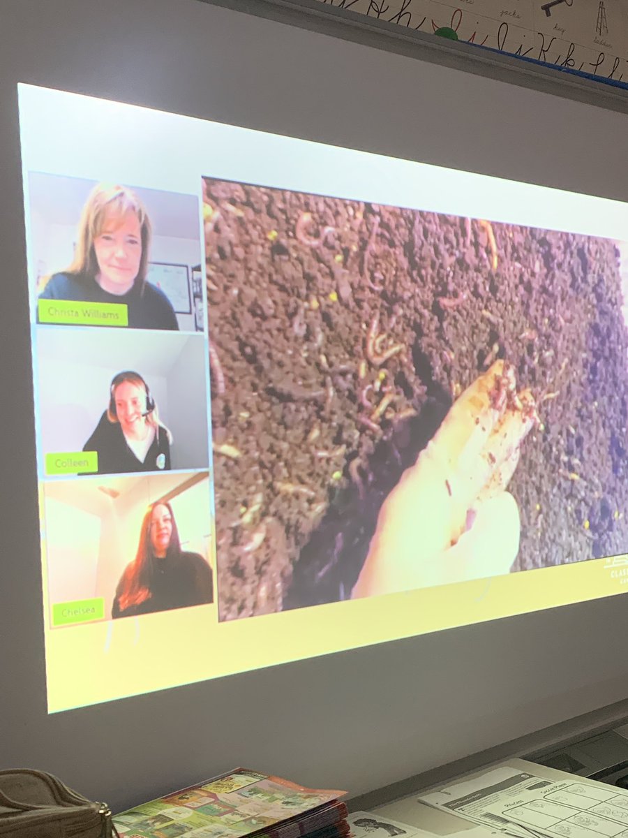 cjbrake_pe's tweet image. #GCFT virtually dropped by Pasadena Elem this am with a feature from our very own Trouter’s Special Worm Farm (Bay Bulls) as we prep for our own school vermicomposting units. Thanks! @AITCNL @pasadenaelem @JennMcWhirter