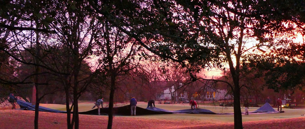 Our #suncitytexasgolfclubs staff and maintenance crews work year-round to keep our three golf courses in optimum shape. Barbara Luna took a snap shot of the measures they take to protect the courses during our #centraltexaswinters. https://t.co/RnZMmKTlgb