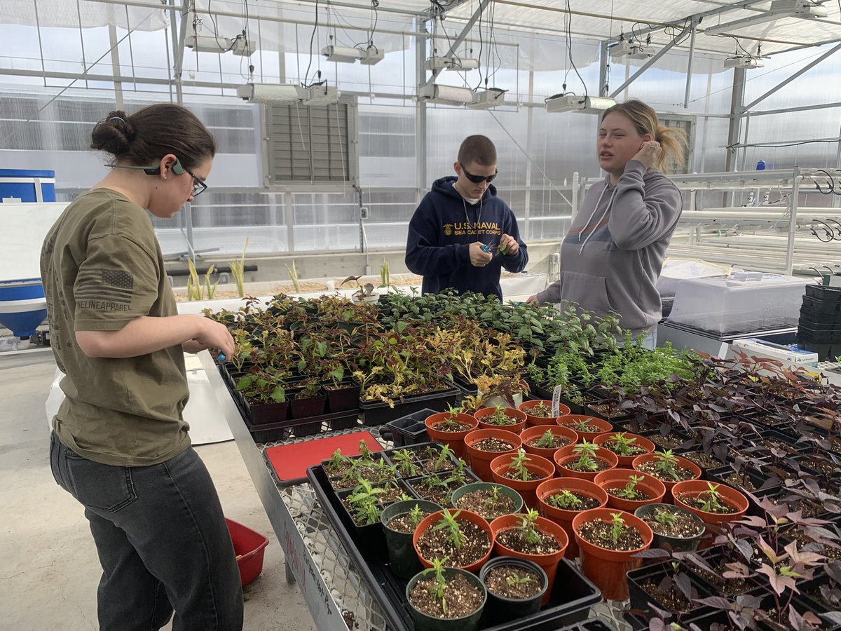 Lacey Walker tweet media