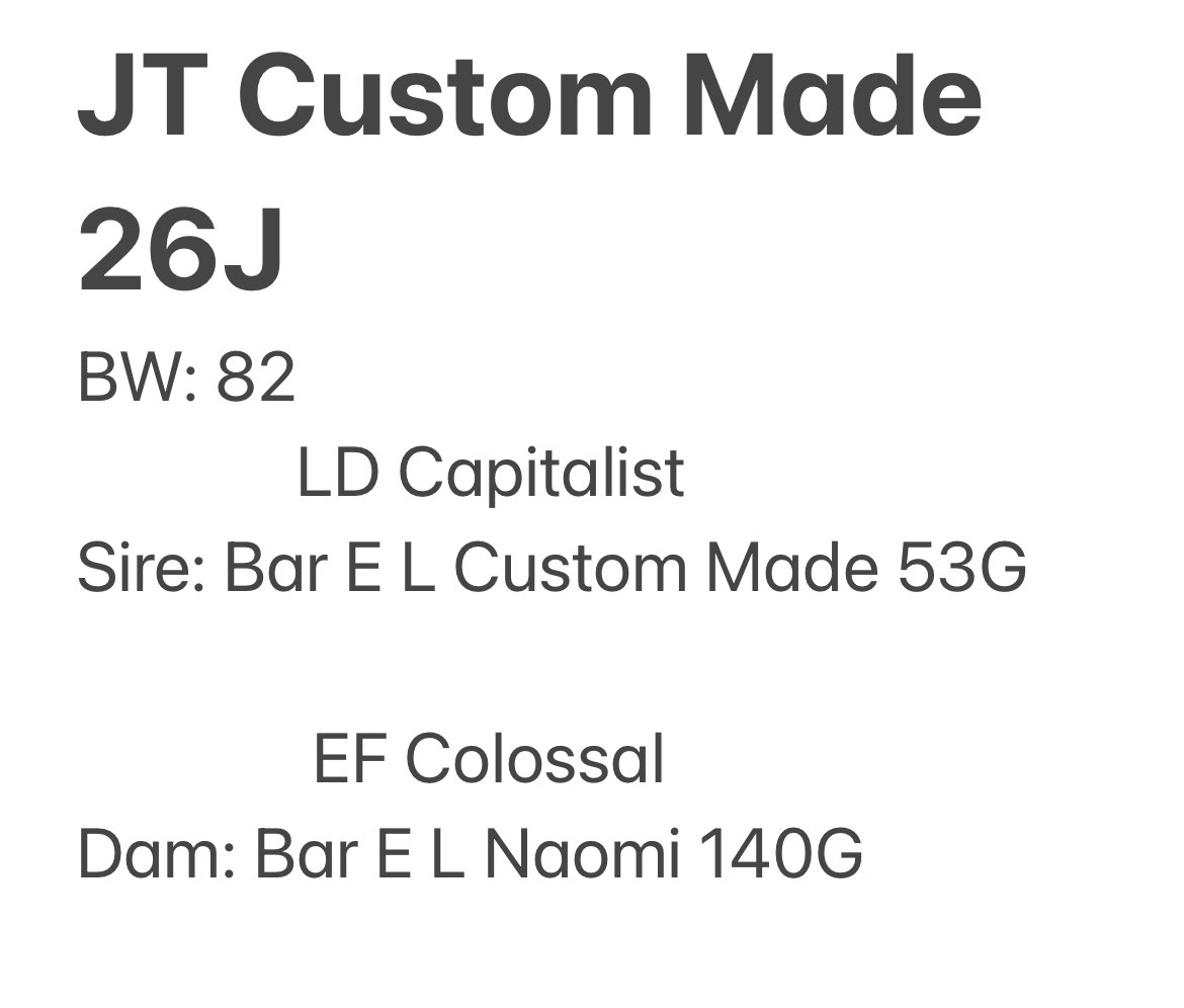 Heifer bull selling this weekend, February born, 1300 lbs, 40cm scrotal