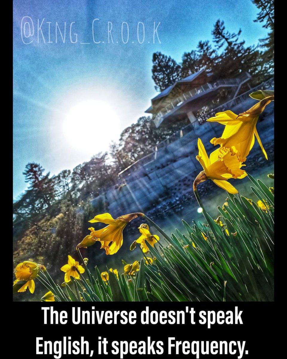 1RadicalKing's tweet photo. #Peace 
#thursdayvibes 
#thursdaymorning 
#selfcare 
#artwork 
#photographylovers 
#positivity 
#GrowthMindset https://t.co/9YewhA51CN