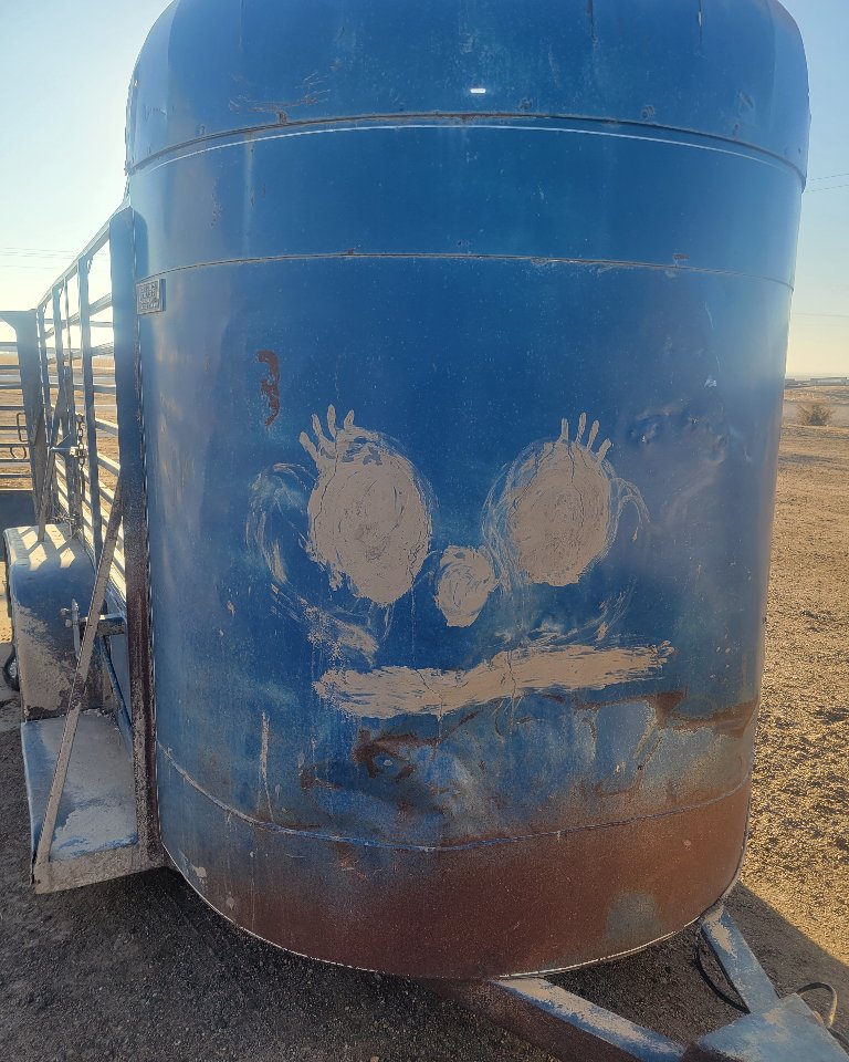 Had to take a 4-H calf to the vet this morning and it looks like someone decorated the trailer.    Ii must have been there for a while. I don't remember mud recently...