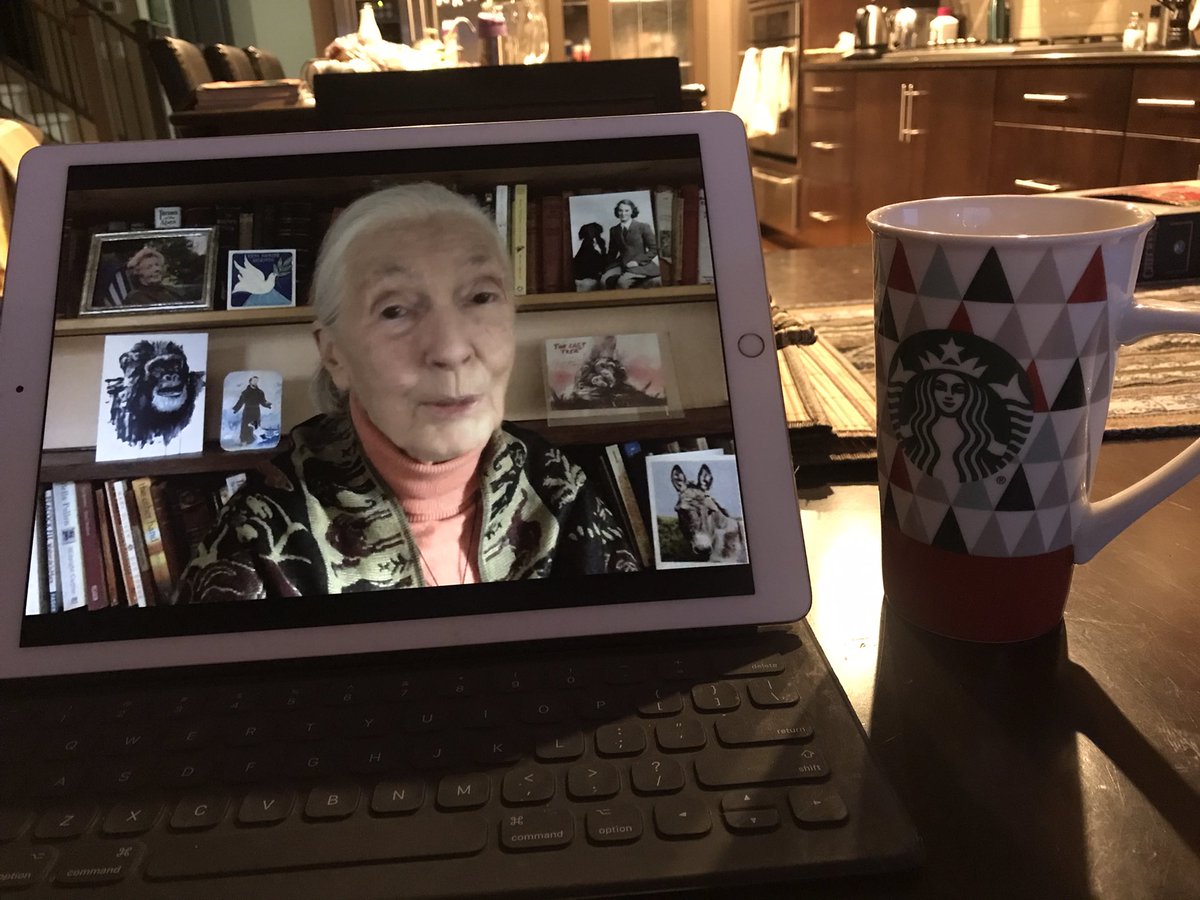 traceysauer's tweet photo. Starting GETCA with Jane Goodall!! She’s so inspiring (even at 7AM!)! I could listen to her stories all day!! #GETCA2022 https://t.co/roGWeyjc4y