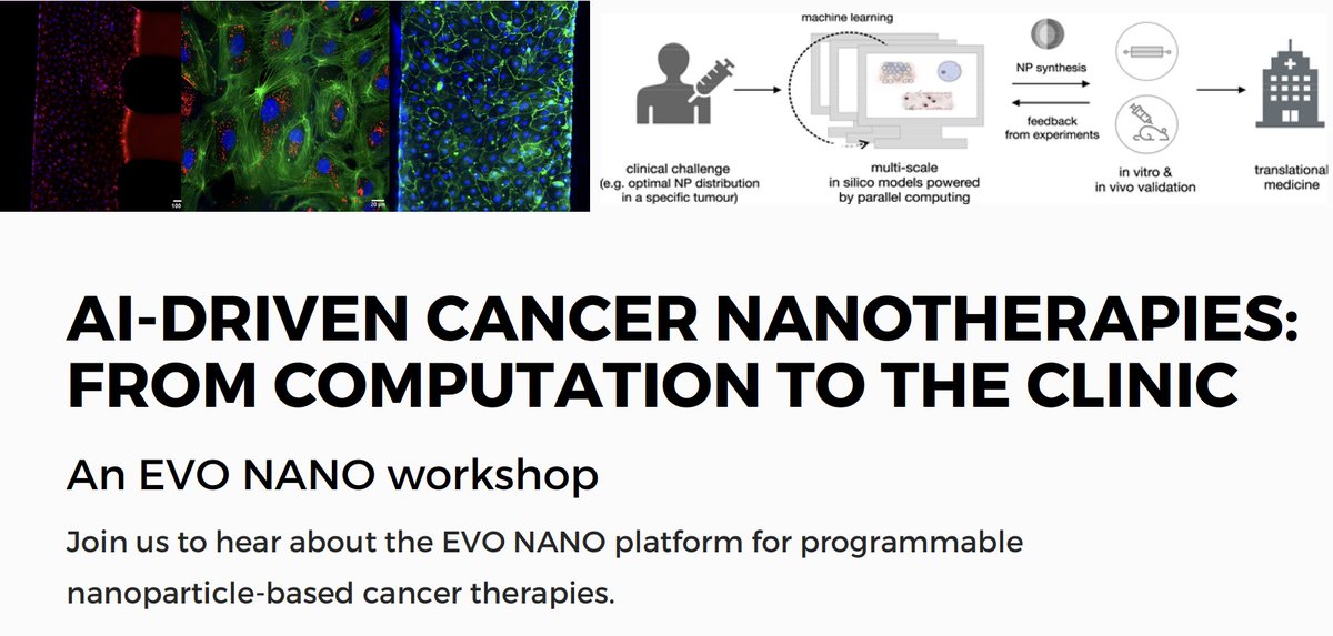 etpnanomedicine's tweet image. Online workshop “#AI driven #cancer nanotherapies: from computation to #clinic” of the @evo_nano project on March 16. All info & free registration: bit.ly/35QNcb2
#H2020 #ArtificialIntelligence #Nanomedicine #Nanoparticles #Oncology
