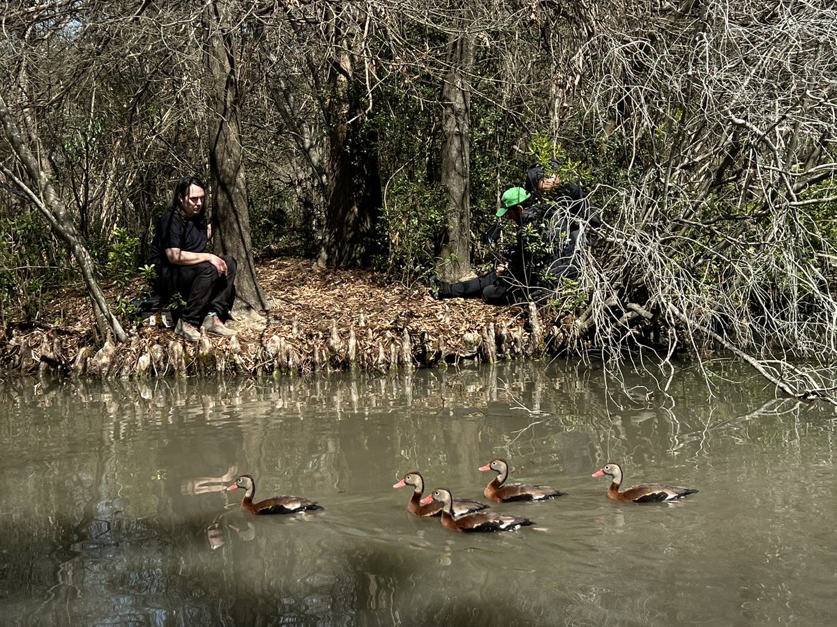 circusleft's tweet photo. Ducks and squirrels #tlalocfilm #circusleftfilms
#film #filmhouston #filmmaking #independentfilmmaking #behindthescenes #houston #htx #texasfilm #independentmovie #indiemovie #writerdirector #featurefilm #localfilm #independentfilms #independentfilmmakers #supportlocalfilm https://t.co/LimLzffTXy