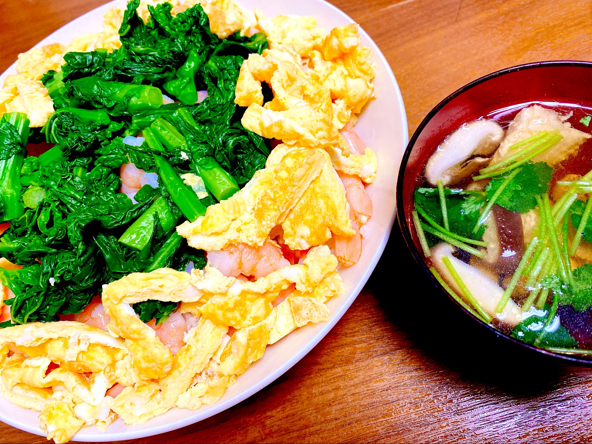 تويتر 菅田菜々子 على تويتر ひな祭りご飯 名前に 菜 が付いてるのに人生で菜の花を食べたことがなかったので今日が菜の花 デビュー日 おいしかった ちなみに名前の由来を母に聞いたら 菜の花っておいしいから って言われたけど実家の食卓に菜の花が出たことが
