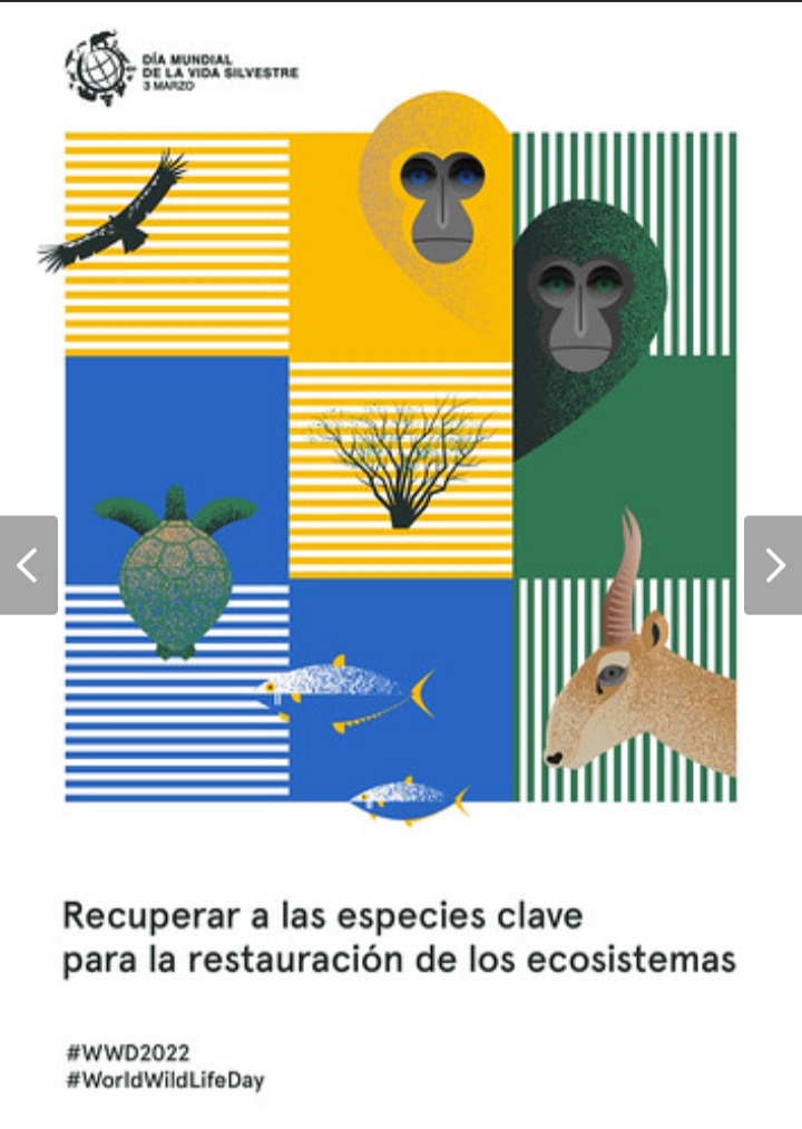 Trabajando por un efectivo control en Frontera de las especies protegidas por la <a href="/CITES/">CITES</a> y especies de especial significado de la República de Cuba. #WorldWildlifeDay #Biodiversidad <a href="/JorgeAlvarezAl5/">Jorge Alvarez Alvarez</a> @MINAGCuba <a href="/JAALEMUS/">José Alberto</a> <a href="/CENASACuba/">Centro Nacional de Sanidad Animal (CENASA)</a> <a href="/OCitma/">ORSA</a> <a href="/citmacuba/">Ministerio de Ciencia, Tecnología y Medio Ambiente</a> <a href="/AduanaCuba/">Aduana de Cuba</a>