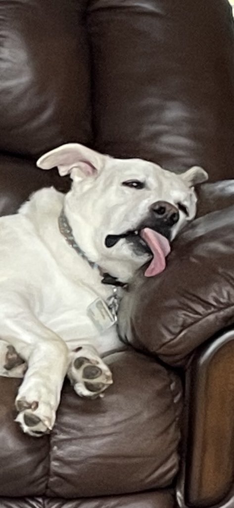 Jueves pero a qué costo.