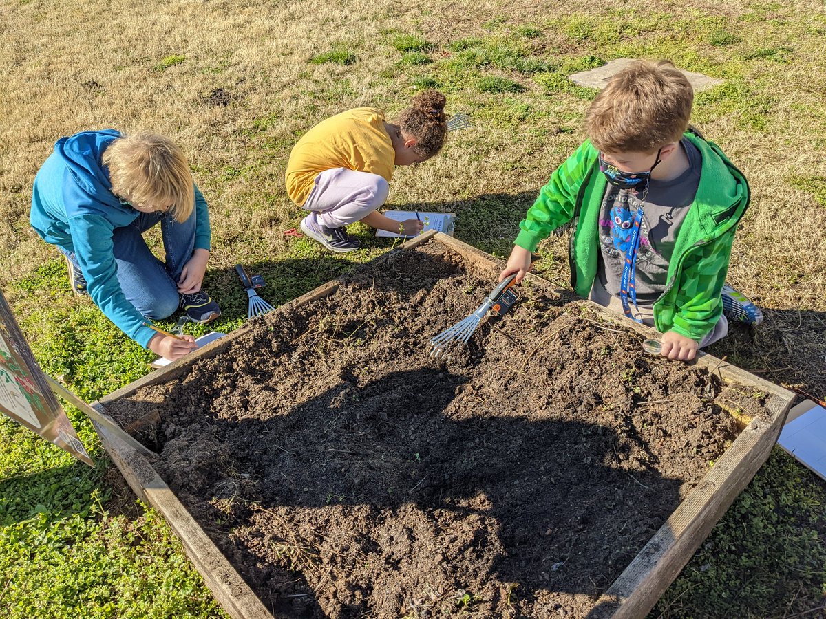 Kimberly Mirsky tweet media