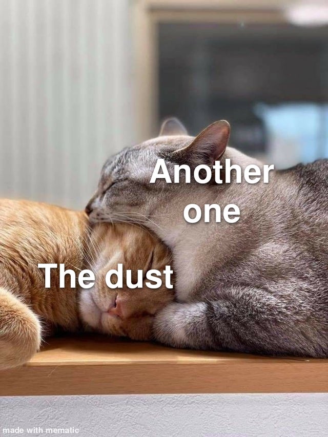 WholesomeMemes (@wholesomememe) on Twitter photo 