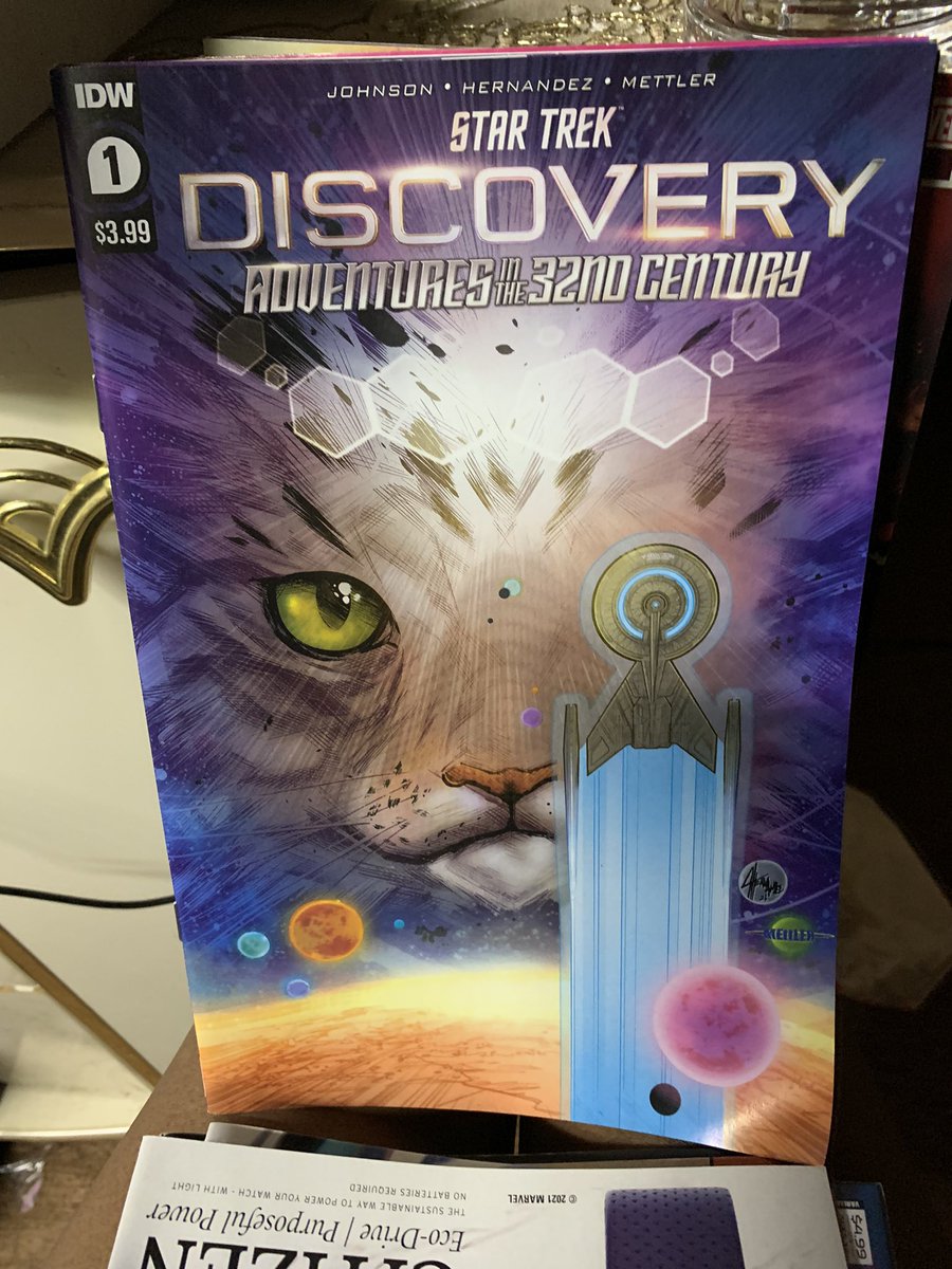 #StarTrekDiscovery #AdventuresInThe32ndCentury @mikecomix #AngelHernandez #JDMettler #NeilUyetake Probably the most unique view of day on board the starship Discovery. You see we getting it through the eyes/thoughts of Grudge The Cat um Queen #NCBD #OneMinuteBadReviews