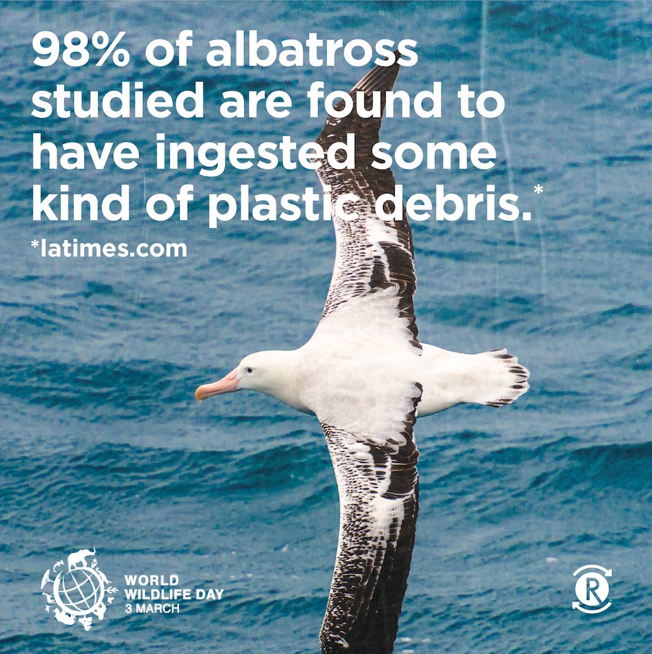 Unifi Solutions (@unifisolutions) on Twitter photo This year, <a href="/WildlifeDay/">World Wildlife Day</a> is spreading awareness about how recovering key species is important for ecosystem restoration everywhere. Recycle, reduce waste, & don’t litter - small things can make a big difference. Learn more: wildlifeday.org #WWD2022 #RecoverKeySpecies This year, <a href="/WildlifeDay/">World Wildlife Day</a> is spreading awareness about how recovering key species is important for ecosystem restoration everywhere. Recycle, reduce waste, & don’t litter - small things can make a big difference. Learn more: wildlifeday.org #WWD2022 #RecoverKeySpecies