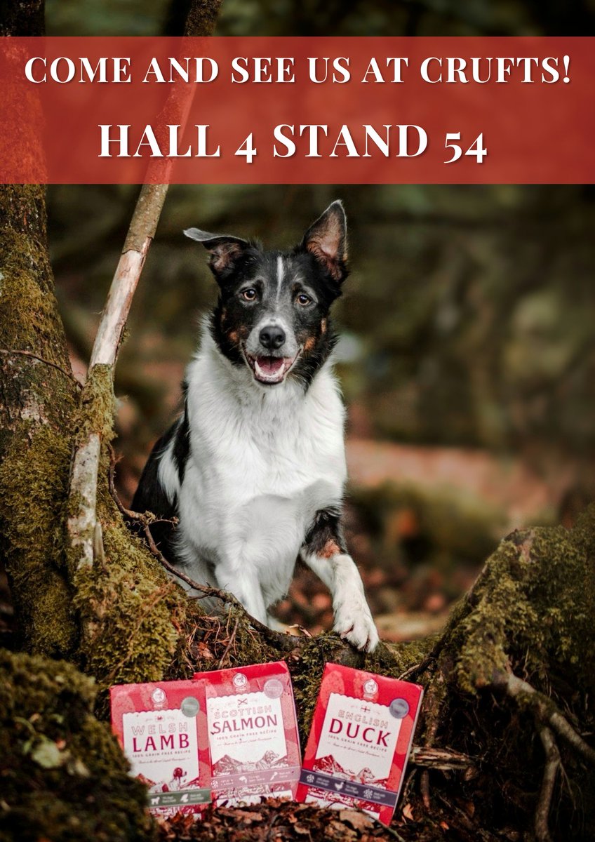 ClydachFarm's tweet photo. The Clydach Farm team are so excited to be attending CRUFTS for the first time! 🤗🐩🏆❤️🐶

Join us at the Birmingham NEC from the 10th - 13th March in Hall 4 Stand 54 for some tasty deals, incredible competitions and a friendly chinwag ☺️ 

@crufts #crufts2022 https://t.co/tc5UfbxTi7