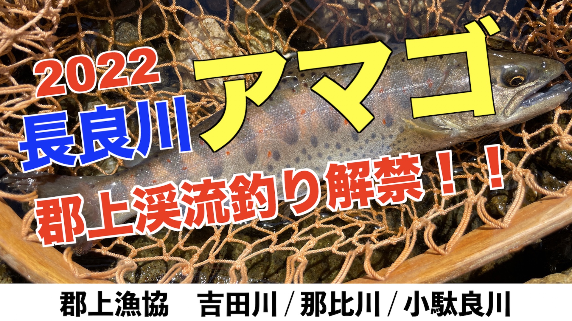 Fishpass フィッシュパス 22春の到来 長良川アマゴ 郡上渓流釣り解禁 2月11日郡上漁協渓流釣り解禁日の様子を動画にしました 次々釣り上げるシーンを見ていると楽しくなります T Co Nuv0trdrbb フィッシュパス 郡上漁協 渓流釣り解禁