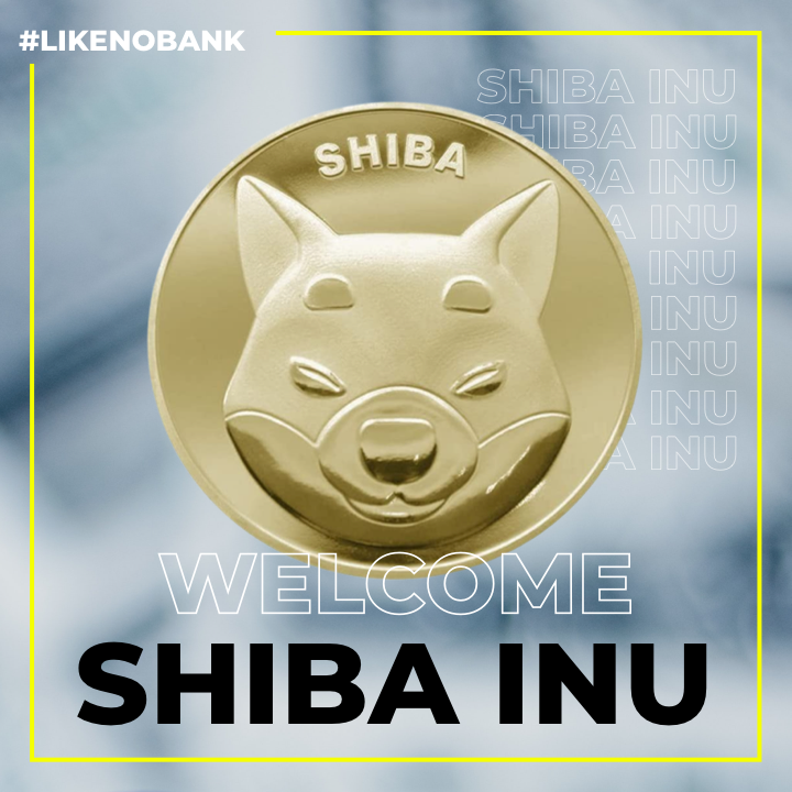 rebellionpay's tweet photo. ¡Nueva #cripto en #Rebellion! 🥳
Ya puedes invertir en #ShibaInu desde tu app.
¿Quieres saber todo sobre esta nueva cripto? Infórmate en nuestro blog.
👉🏼https://t.co/czgl1HZwru
#LikeNoBank #cryptocurrencies #neobank #criptos https://t.co/md3Q1Sqy9u