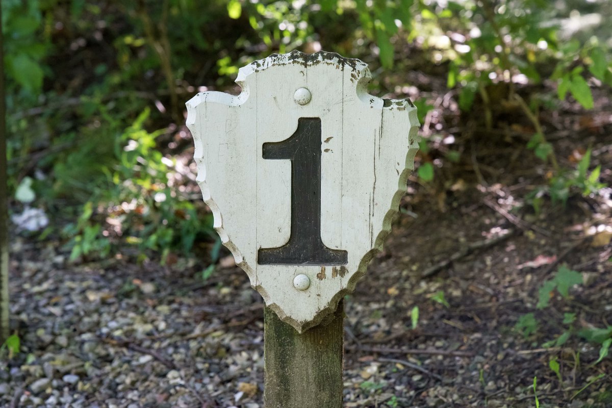 Explore Michigan tweet media