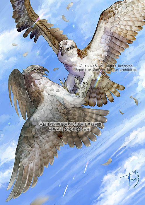 すいいろ 動物画家 Sur Twitter 鳥の絵 リアルテイスト デフォルメ表現いろいろ かっこいい のも可愛いのも得意です すきです 4月以降の絵 イラストのお仕事募集中です T Co Xyhrr09btb Twitter