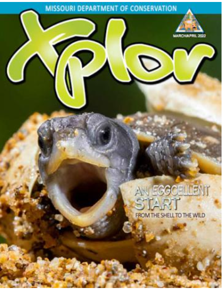 MDC_online's tweet photo. XPLOR NATURE with our Xplor magazine for kids (of all ages). Check out the March/April issue to learn how to plant a pollinator pot, learn about fish that swam with dinosaurs, wildlife eggstravaganza, sensational salamanders, and more. Read it online at https://t.co/GnazVe7cmb https://t.co/ajAhSG1sVW