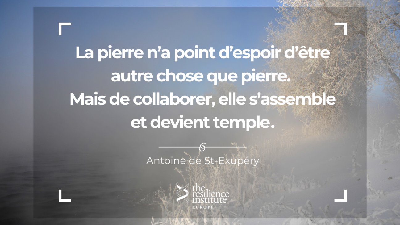 تويتر The Resilience Institute على تويتر La Pierre N A Point D Espoir D Etre Autre Chose Que Pierre Mais De Collaborer Elle S Assemble Et Devient Temple Antoine De Saint Exupery Resilience Citation Inspiration
