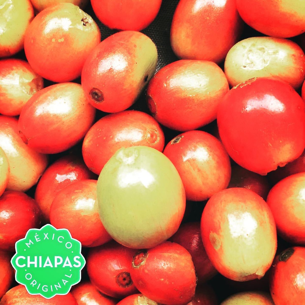 Consulta nuestra variedad de productos en cafeadagio.com.mx o escríbenos a ventas@cafeadagio.com.mx