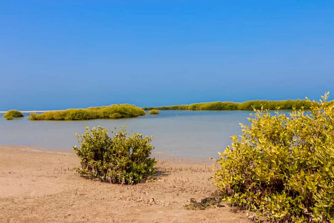 OmTouristGuide's tweet photo. مقتطفات من #جزيرة_مصيرة...
📸هلال الخميسي
.
#اكتشف_عمان #سلطنة_عمان
#Oman #Masira https://t.co/tGwUElAlnz