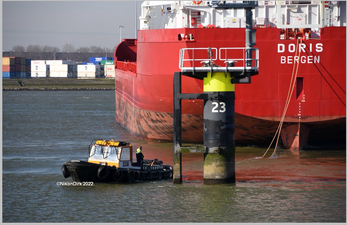 Nikondirk's tweet photo. De Rotterdamse #roeiers lijken hier letterlijk te werken vanuit een #notendop. 🙂👍 https://t.co/k1WHLfBLOC