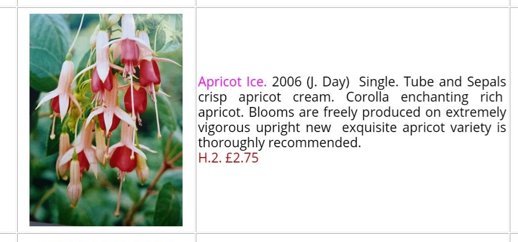 Jon Oram Bsc (hons) tweet media