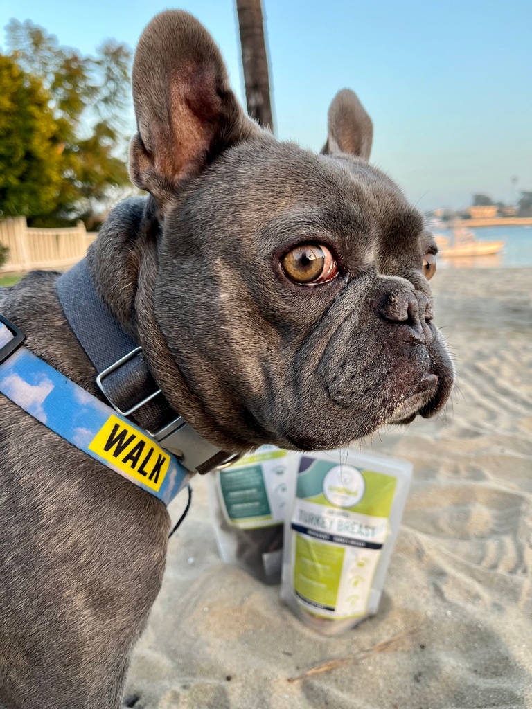 caliraw's tweet photo. Lookin' forward to the weekend and #singleingredient treats like... https://t.co/s6JZbvoVDD