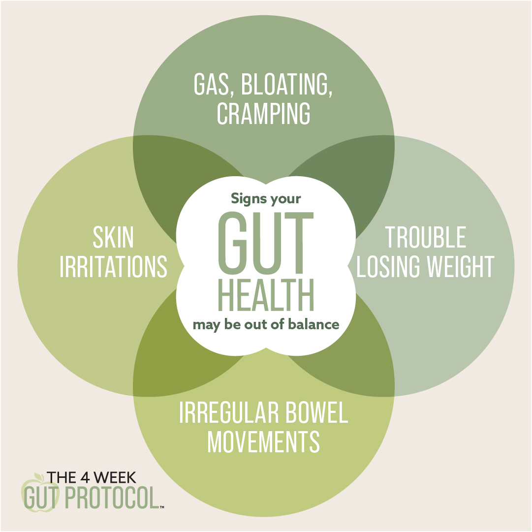 BODiBusiness411's tweet photo. Sound like you? Yah, us too. That is why we are so excited about The 4 Week Gut Protocol because it really is for everyone.

The 4 Week Gut Protocol is launching March 15 and we can't wait!

#4weekgutprotocol #4weeksforeverybody #teambeachbody #nutrition #fitness #workout https://t.co/LoGDVF4eH1