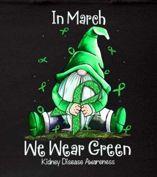 BoySubbuteo's tweet image. #kidneymonth