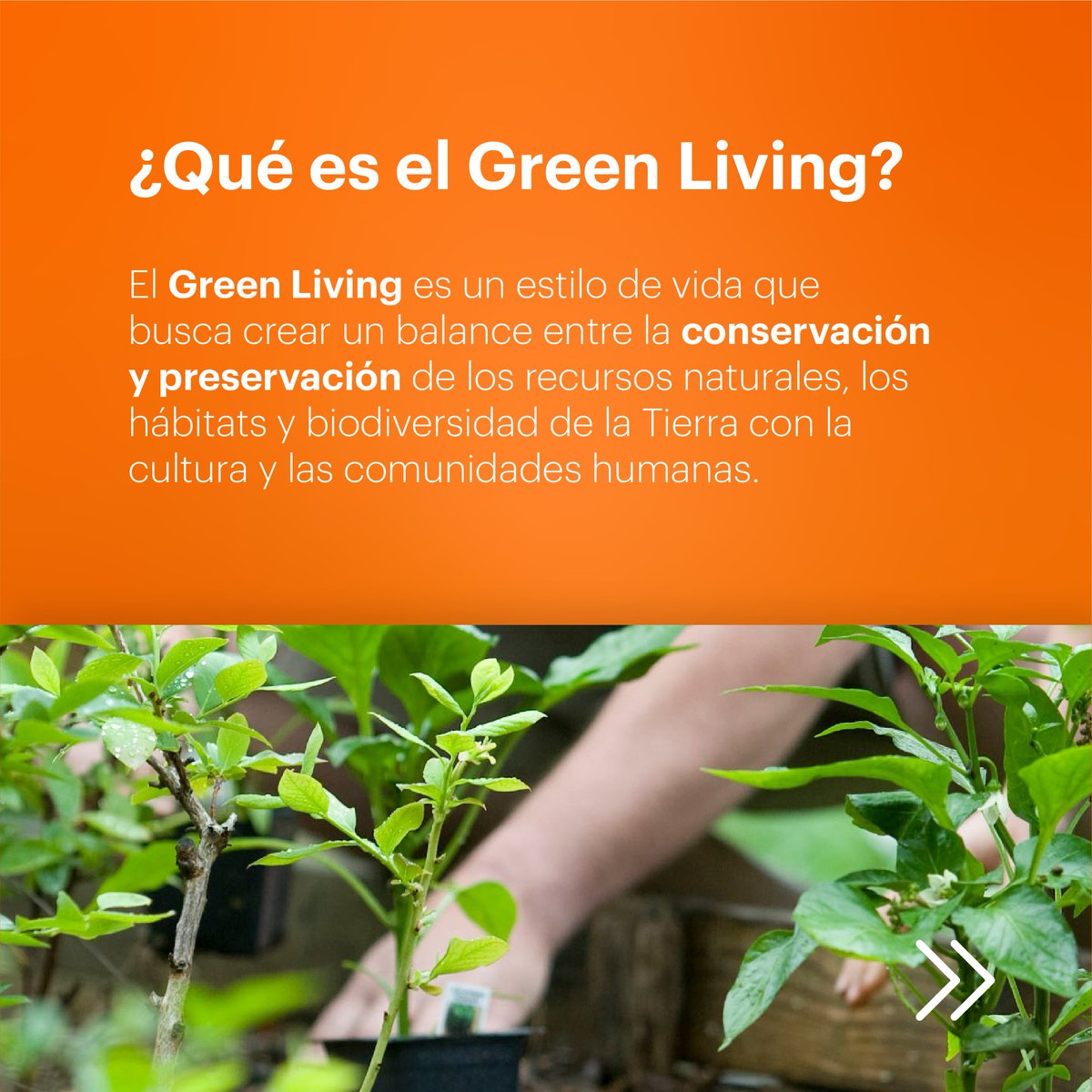 OrangeInv's tweet photo. ¿Sabías que la industria del Real Estate puede aportar a la sustentabilidad y el bienestar ecológico con sus proyectos?
Conoce más de este tema.
https://t.co/1Rzza3tHYv
#OrangeInvestments #OrangeDevelopment #DesarrolloInmobiliario #RealEstate #GreenLiving #Sustentabilidad https://t.co/fEb33qZyTt