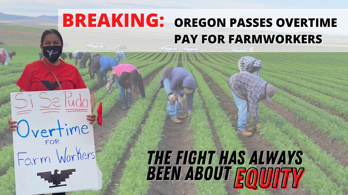 UFWupdates's tweet photo. BREAKING: Oregon passes overtime pay equity for farm workers https://t.co/EFE98NT43I